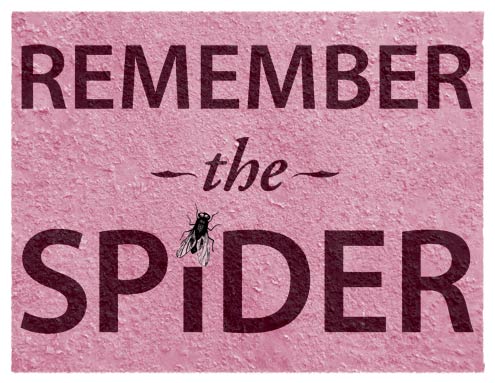 Remember the spider